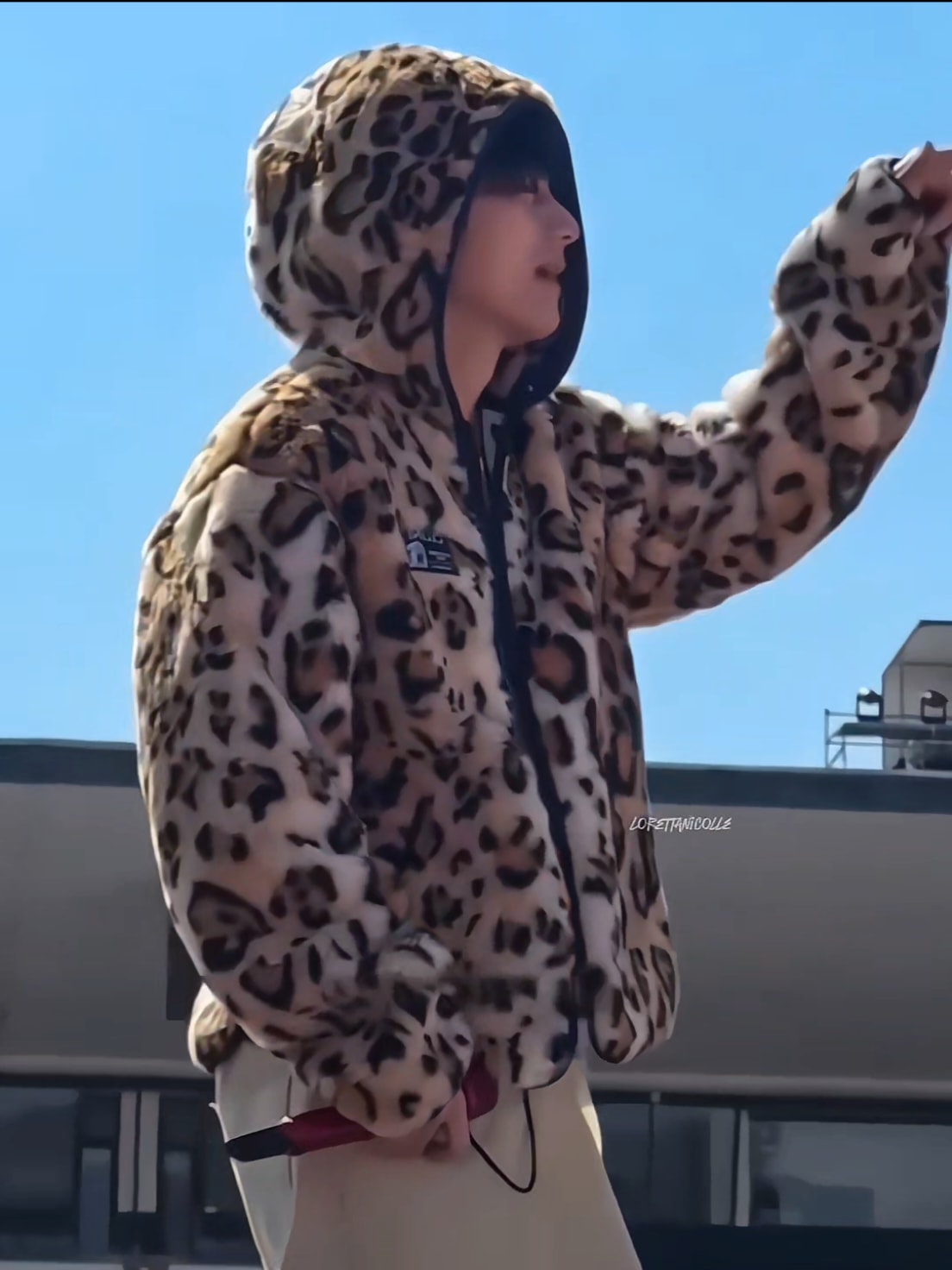 Taehyung cute baby tiger thv