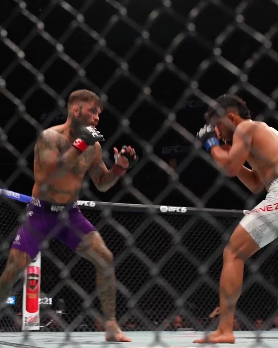 Cody Garbrandt UFC fight