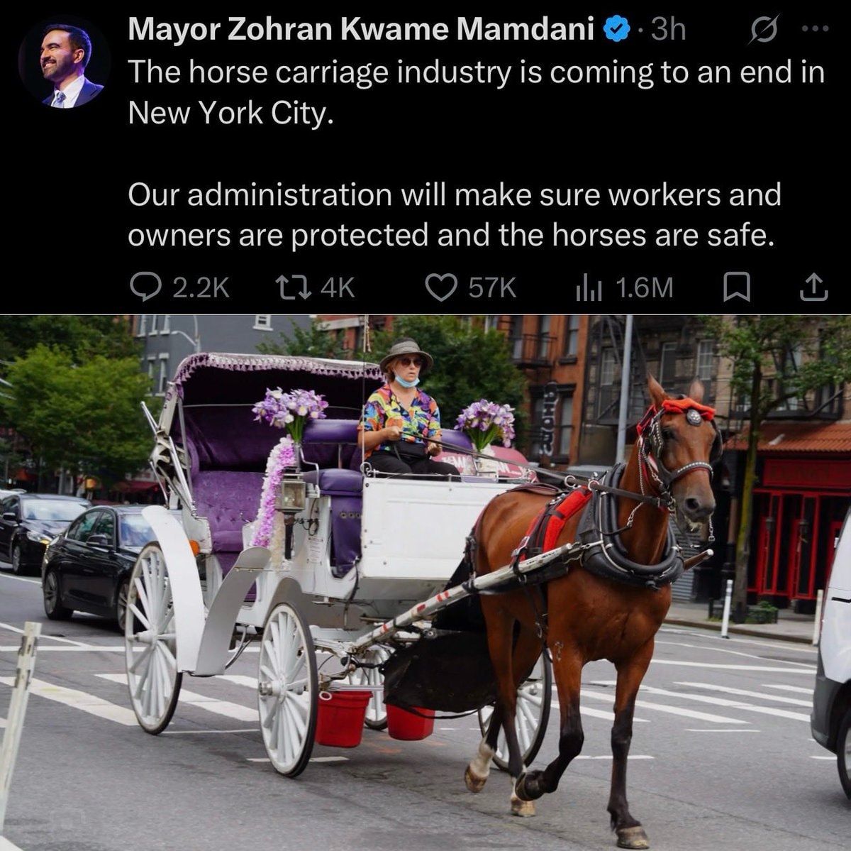 Zohran Mamdani ends NYC horse carriage industry