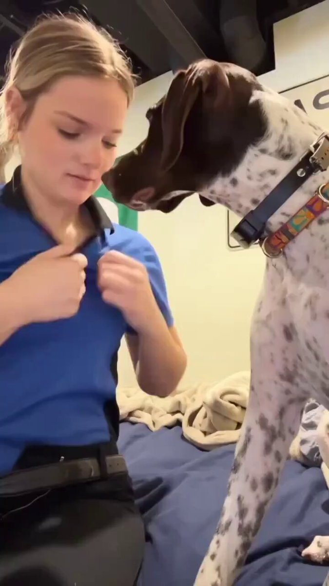 Dog kiss reaction