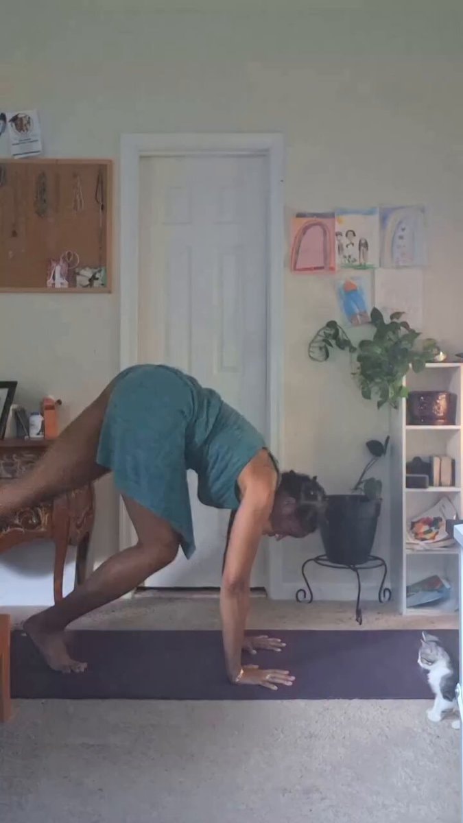 Yoga handstand challenge with kitten