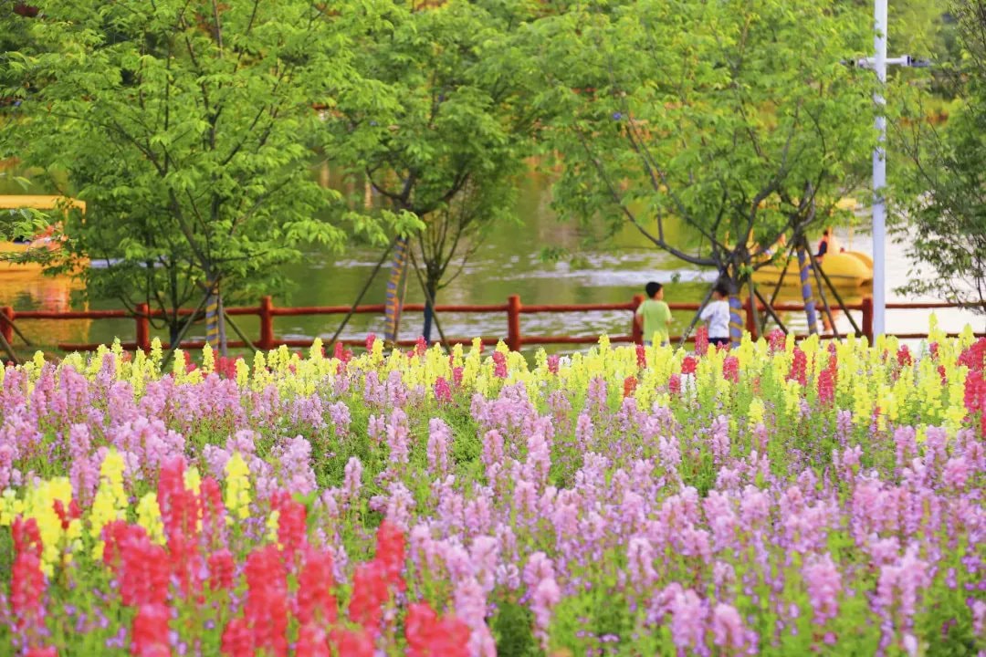 Late spring scenes in Phoenix Valley Scenic Area (photo 3 of 4)