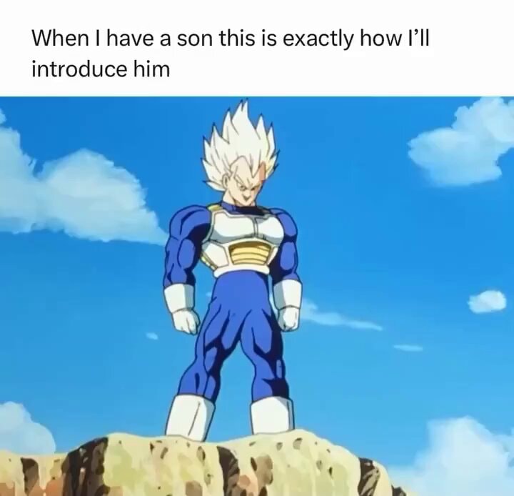Vegeta Dragon Ball Z meme