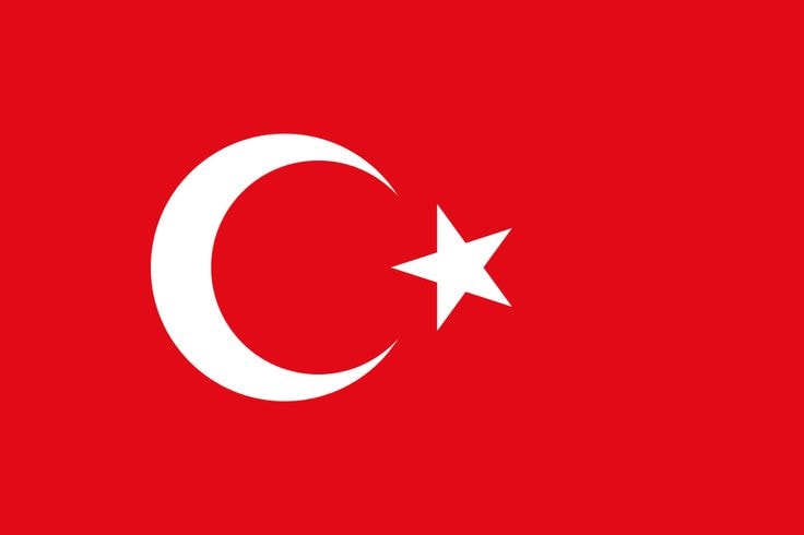 Türkiye World Cup history (photo 2 of 2)