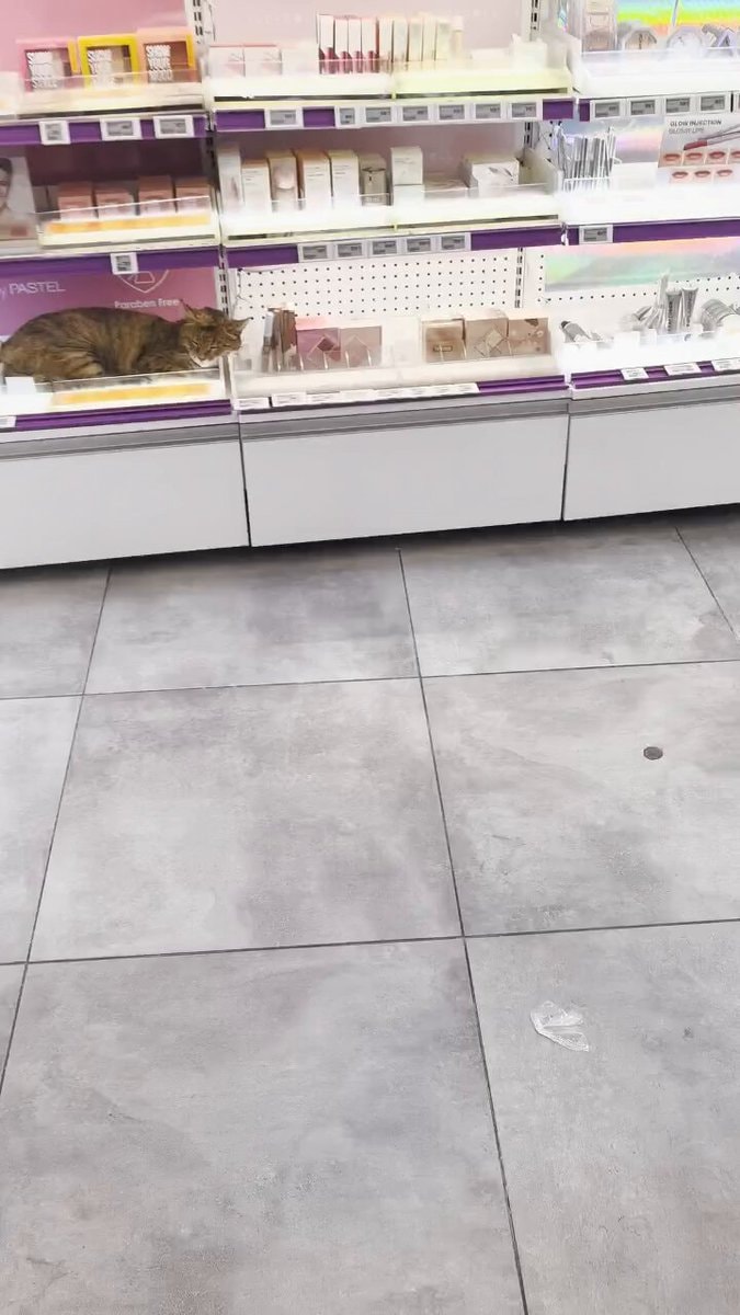 beauty in the cosmetics store
