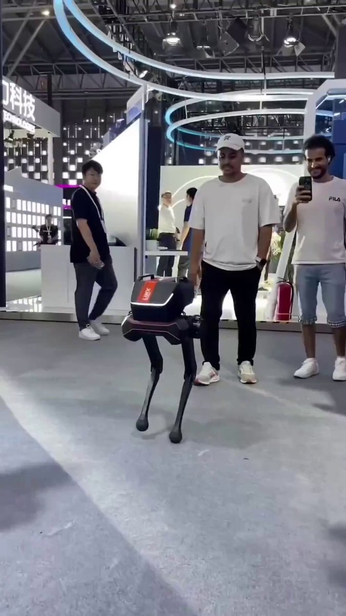 LimX Dynamics TRON 1 stability test