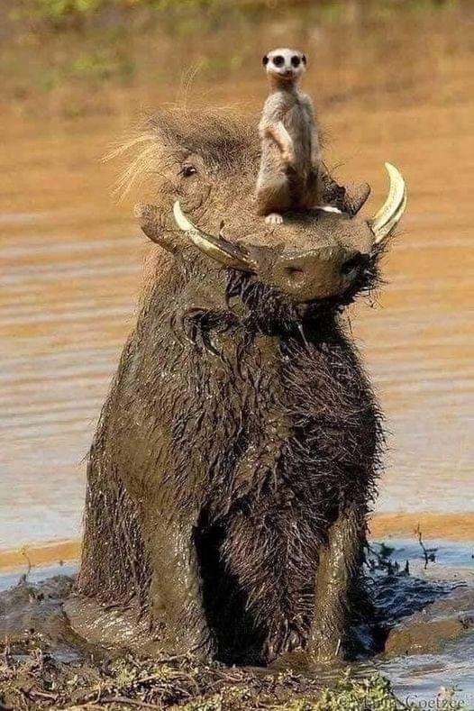 Beauty of Nature ❤