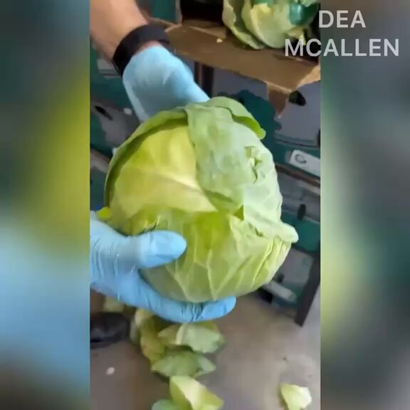 meth in cabbage shipment
