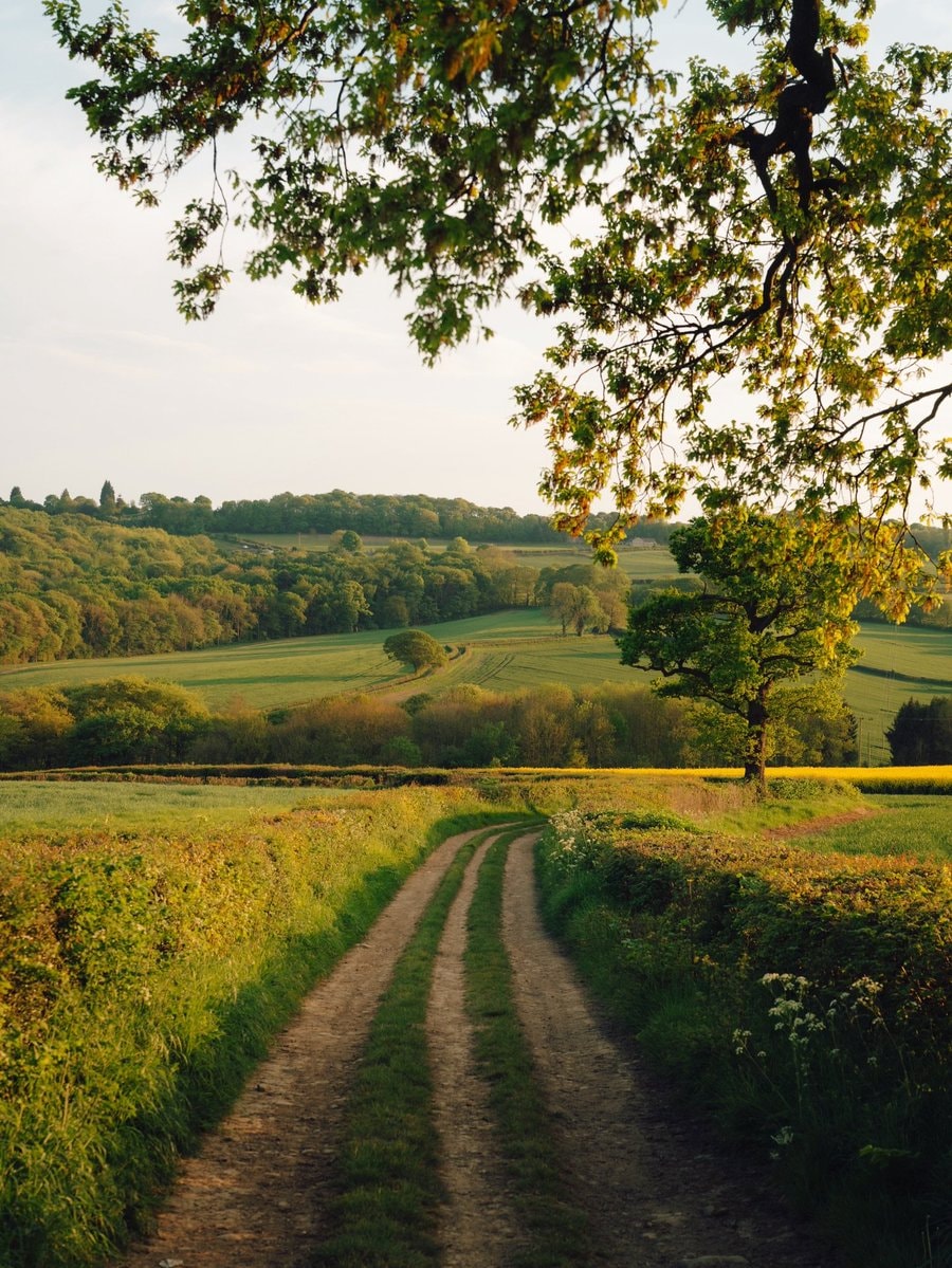 English countryside