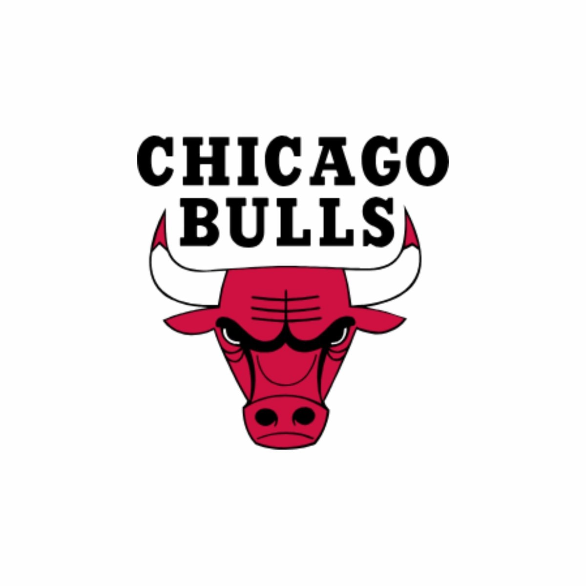 Caleb Wilson Bulls draft No 4 (photo 2 of 2)