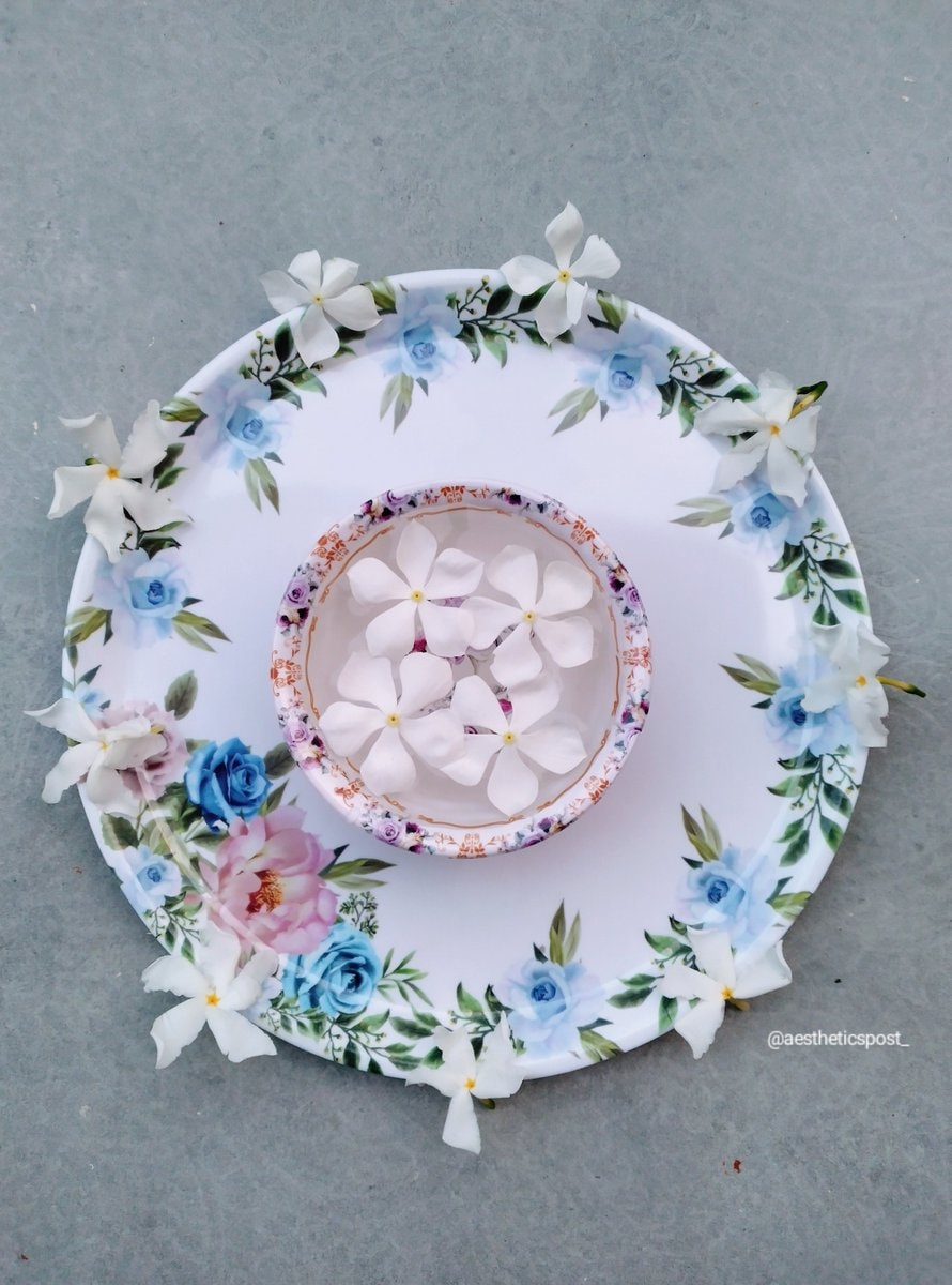 Crape Jasmine pinwheel flower