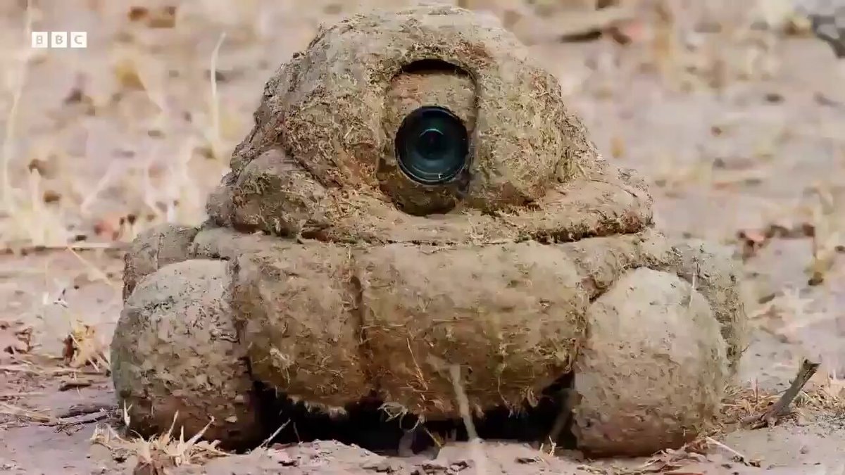 BBC dung heap robot cameras