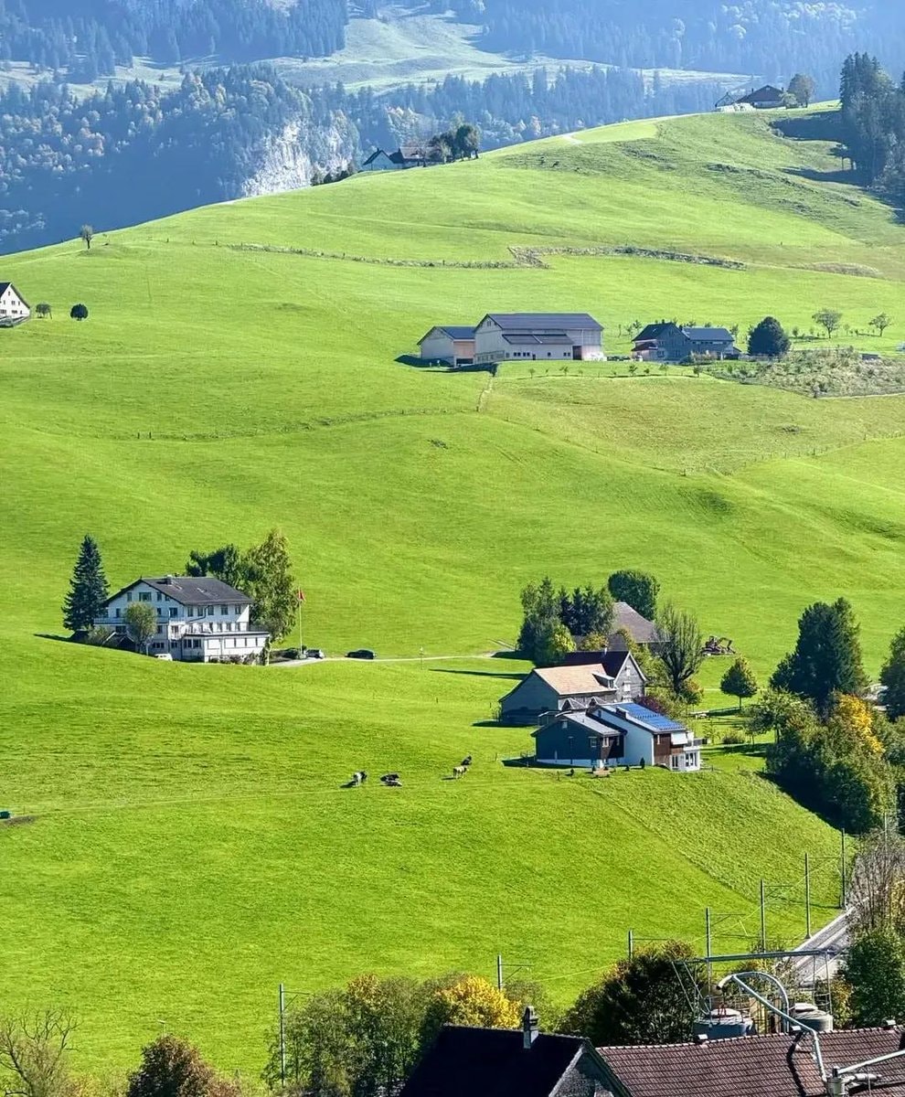 Switzerland Alpine Views 🇨🇭 (photo 4 of 4)