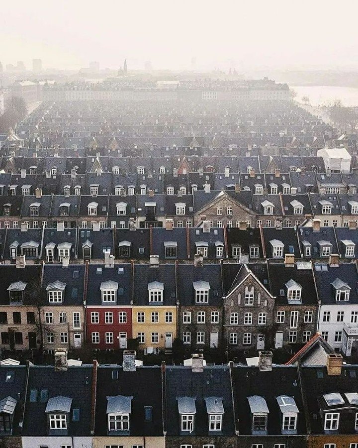 Beauty of Denmark (photo 3 of 4)
