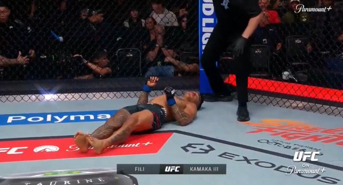 Fighter on the mat