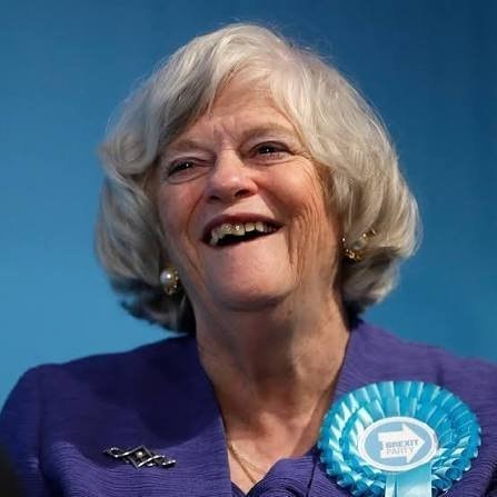 Ann Widdecombe BREXIT PARTY poll
