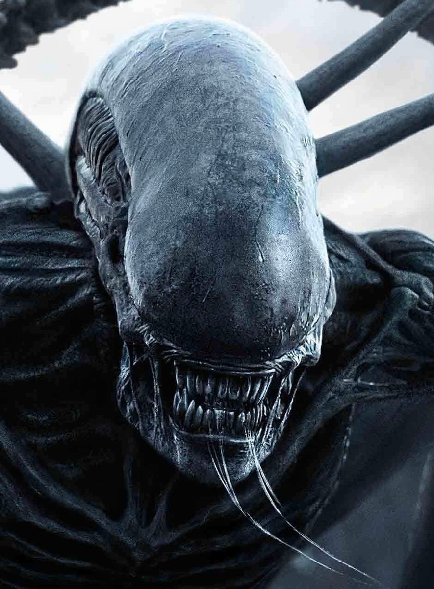 Ridley Scott Alien Covenant sequel (photo 2 of 2)