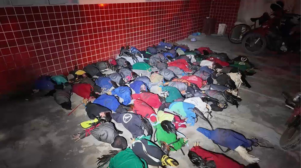 Brazil police seize fighting roosters in Mossoró Brazil police seize fighting roosters in Mossoró