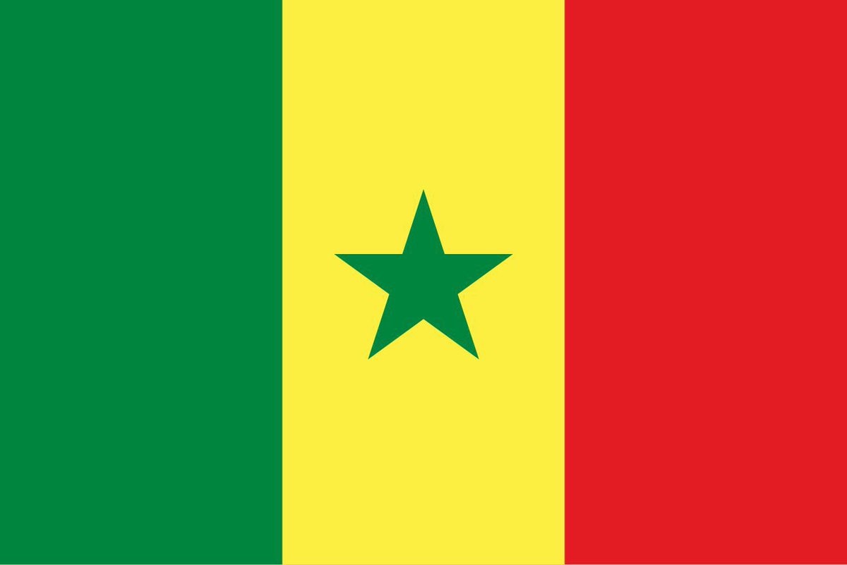 Senegal vs Iraq World Cup (photo 1 of 2)
