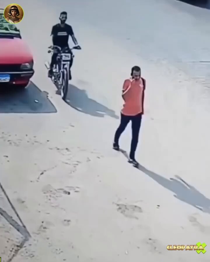 best funny moment caught on camera
