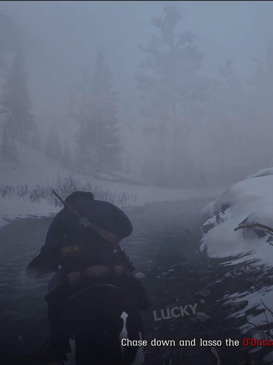RDR2 chase someone down RDR2 chase someone down