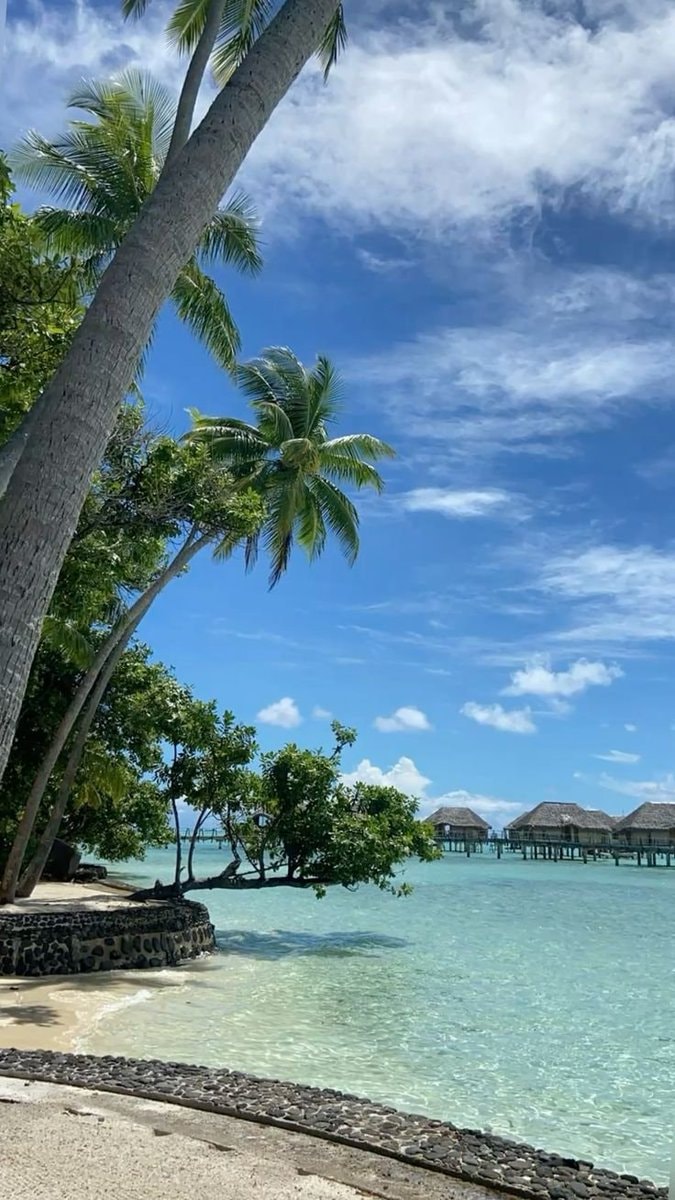 Maldives beach bungalows