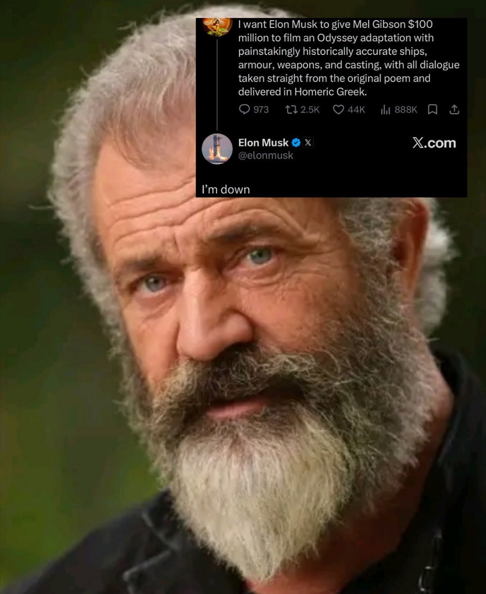 Elon Musk Mel Gibson Odyssey adaptation (photo 1 of 2)