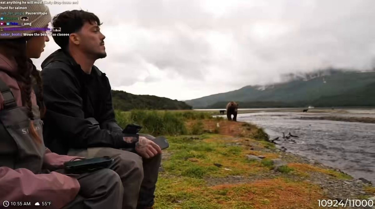 Bear rushes past Maya and Adapt in Alaska
