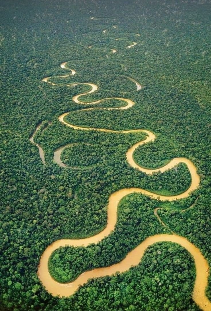 Brazil forest area decline 2000-2009