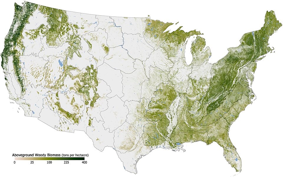U.S. forest biomass map