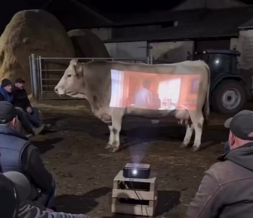 movies on a country farm