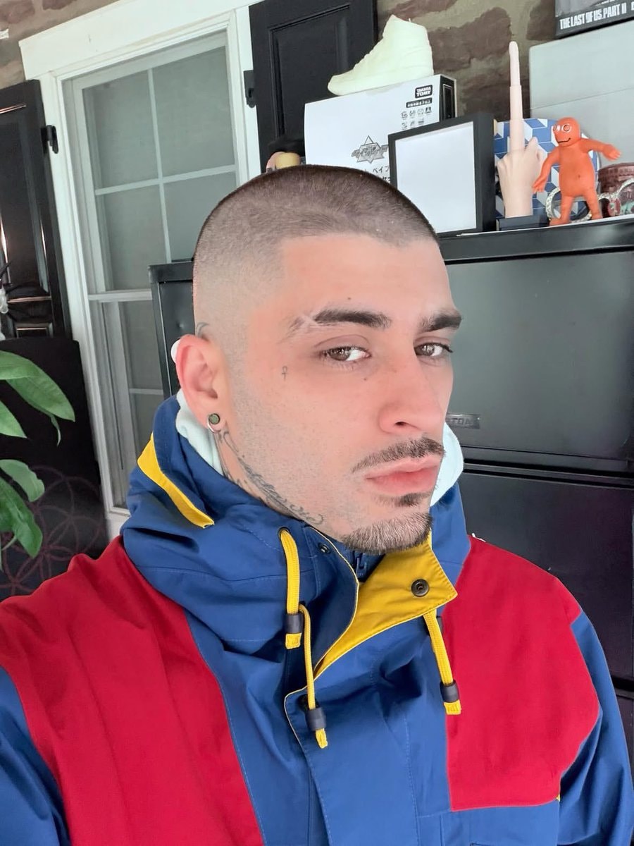ZAYN new selfie