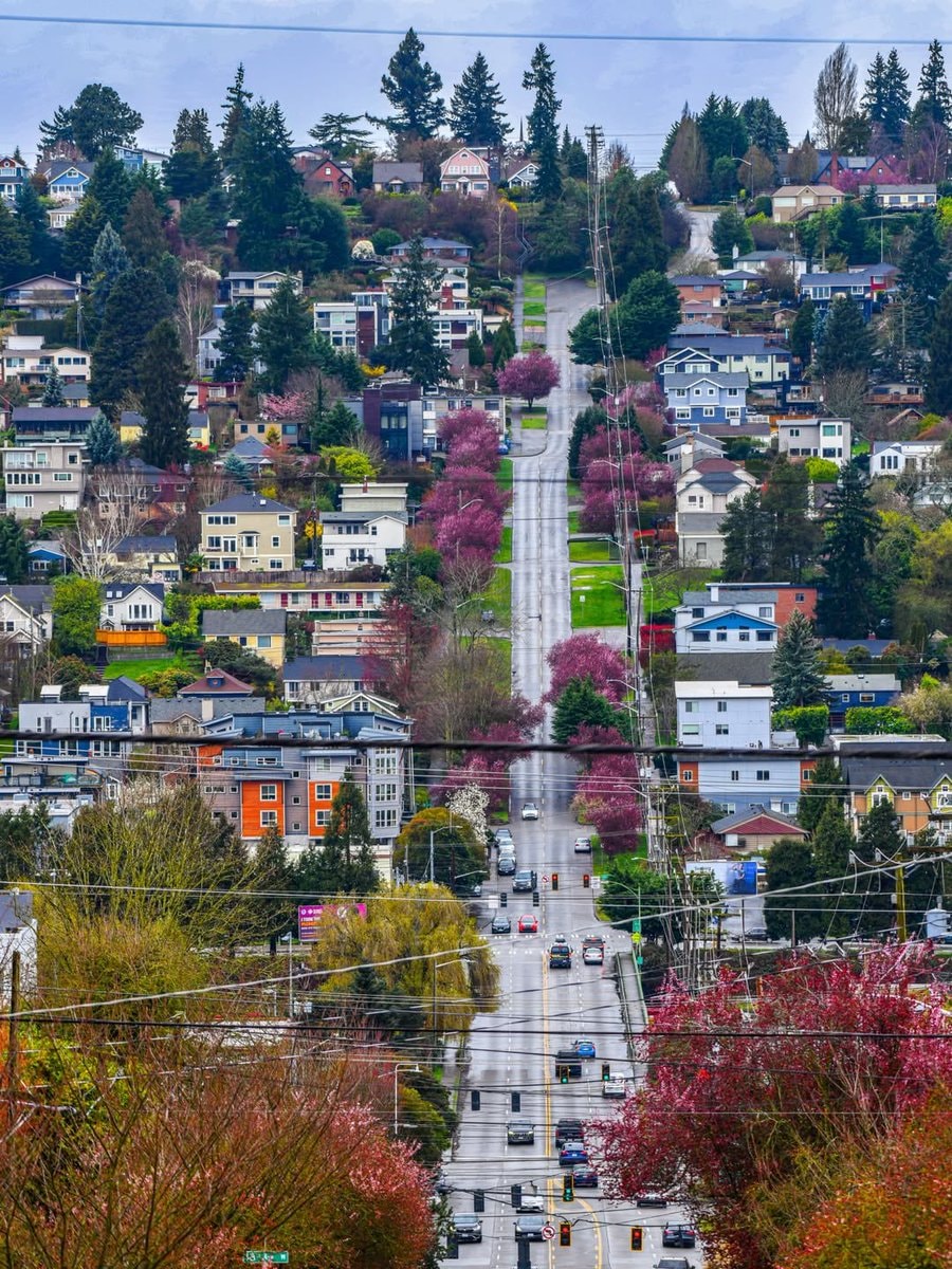 Seattle residential street