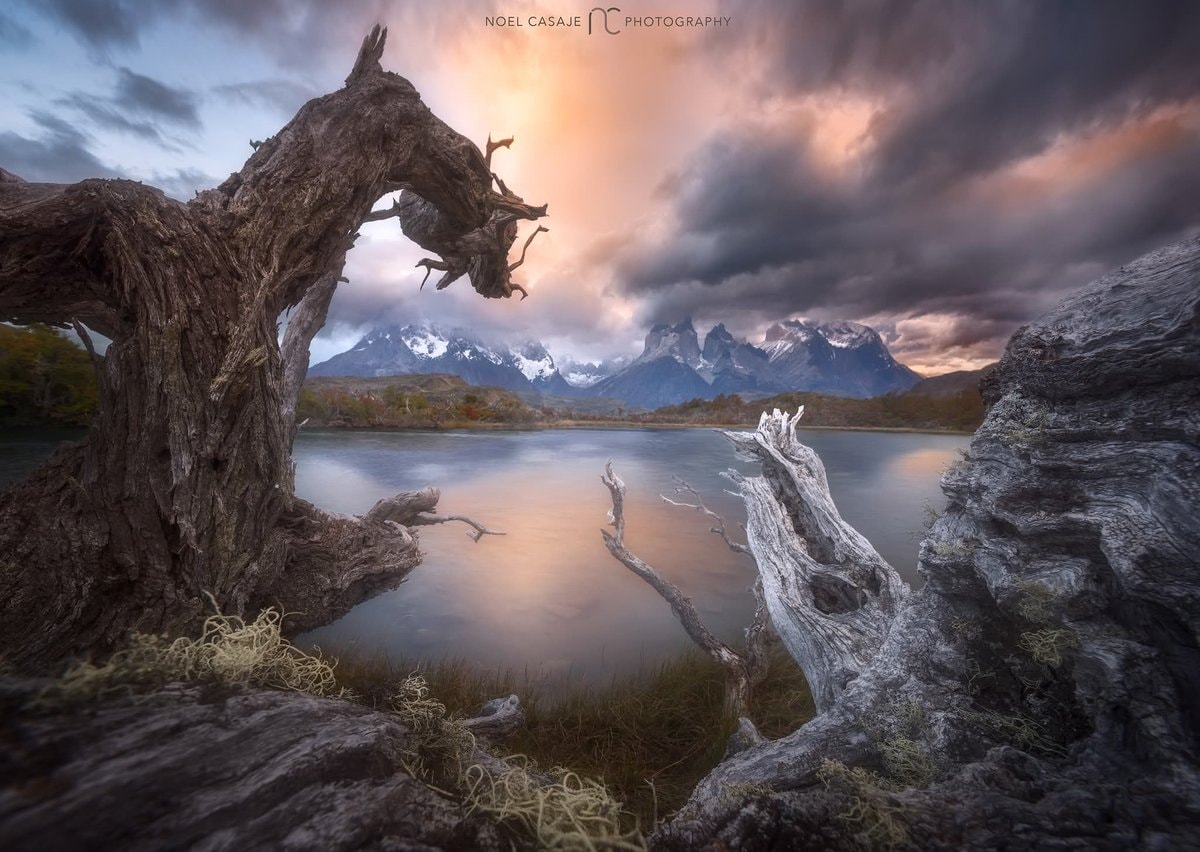 Patagonia photography tours since 2018 Patagonia photography tours since 2018