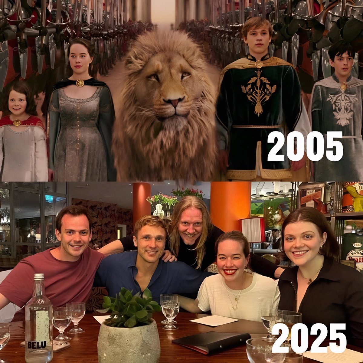 Narnia cast twenty years later
