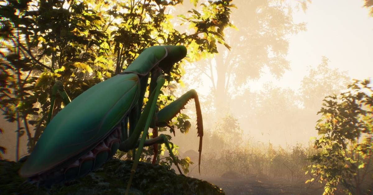 Grounded 2 new survival game