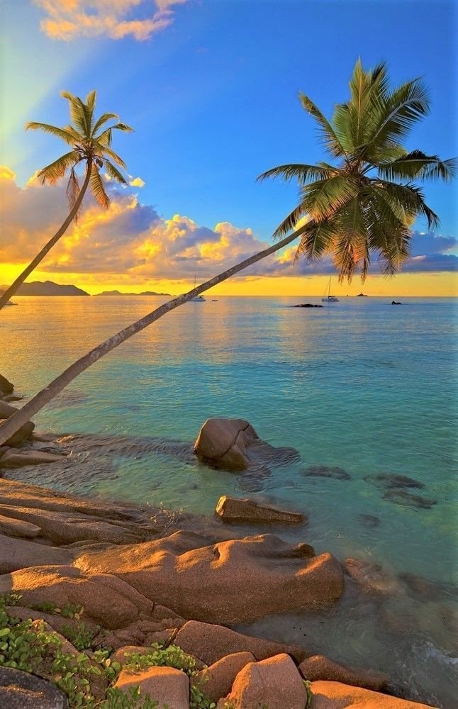 Maldives sunset