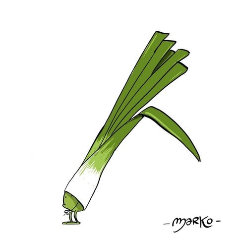 Cartoon leek bowing reaction