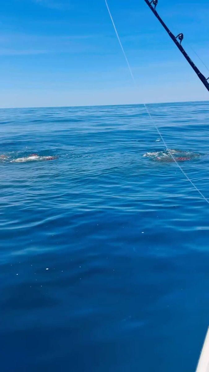 squid fishing offshore