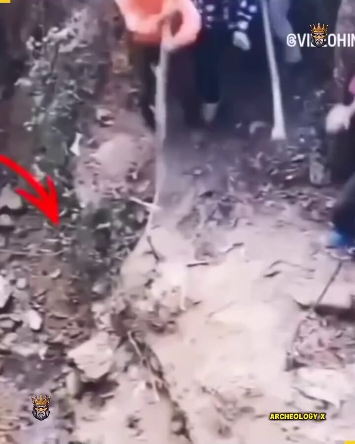 Animals attacking humans caught on camera Animals attacking humans caught on camera