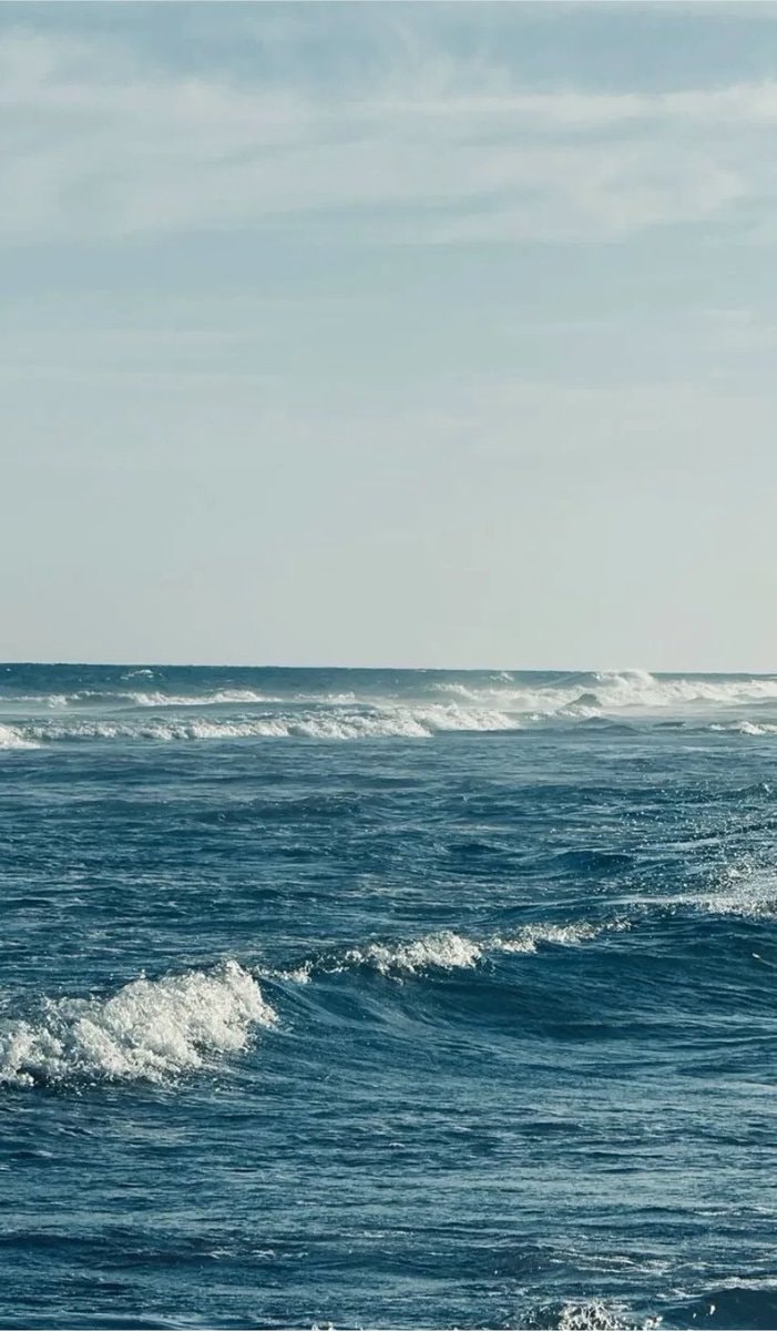 Seagulls over dark blue ocean (photo 4 of 4)