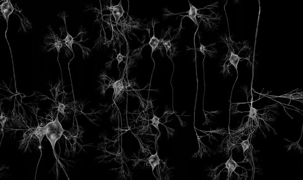 Rewiring your brain through deliberate action
