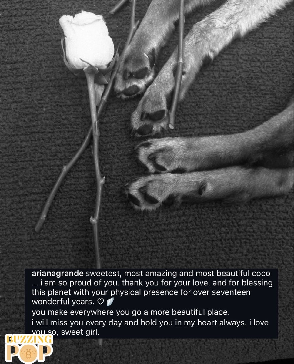 Ariana Grande Coco (photo 2 of 2)