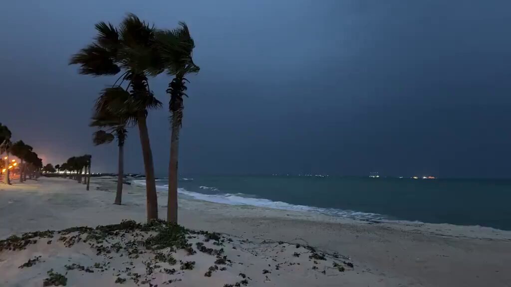 Stormy beach at dusk