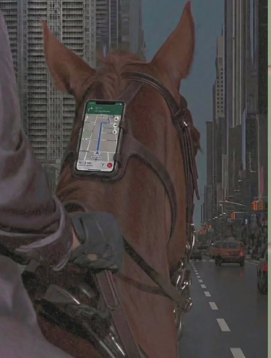 horse navigation app city street horse navigation app city street