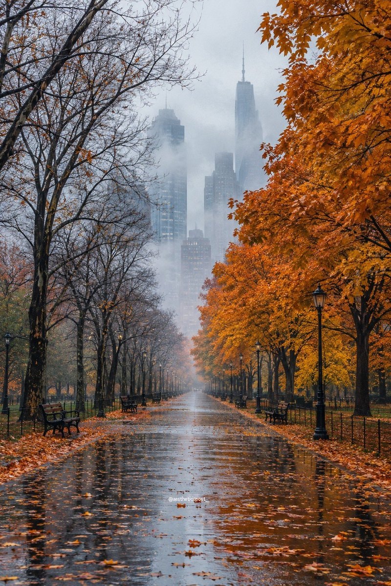 park pathway autumn colors city mist