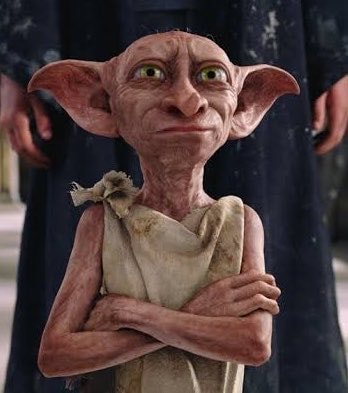 Lenny Rush as Dobby in Harry Potter Season 2 (photo 2 of 2)