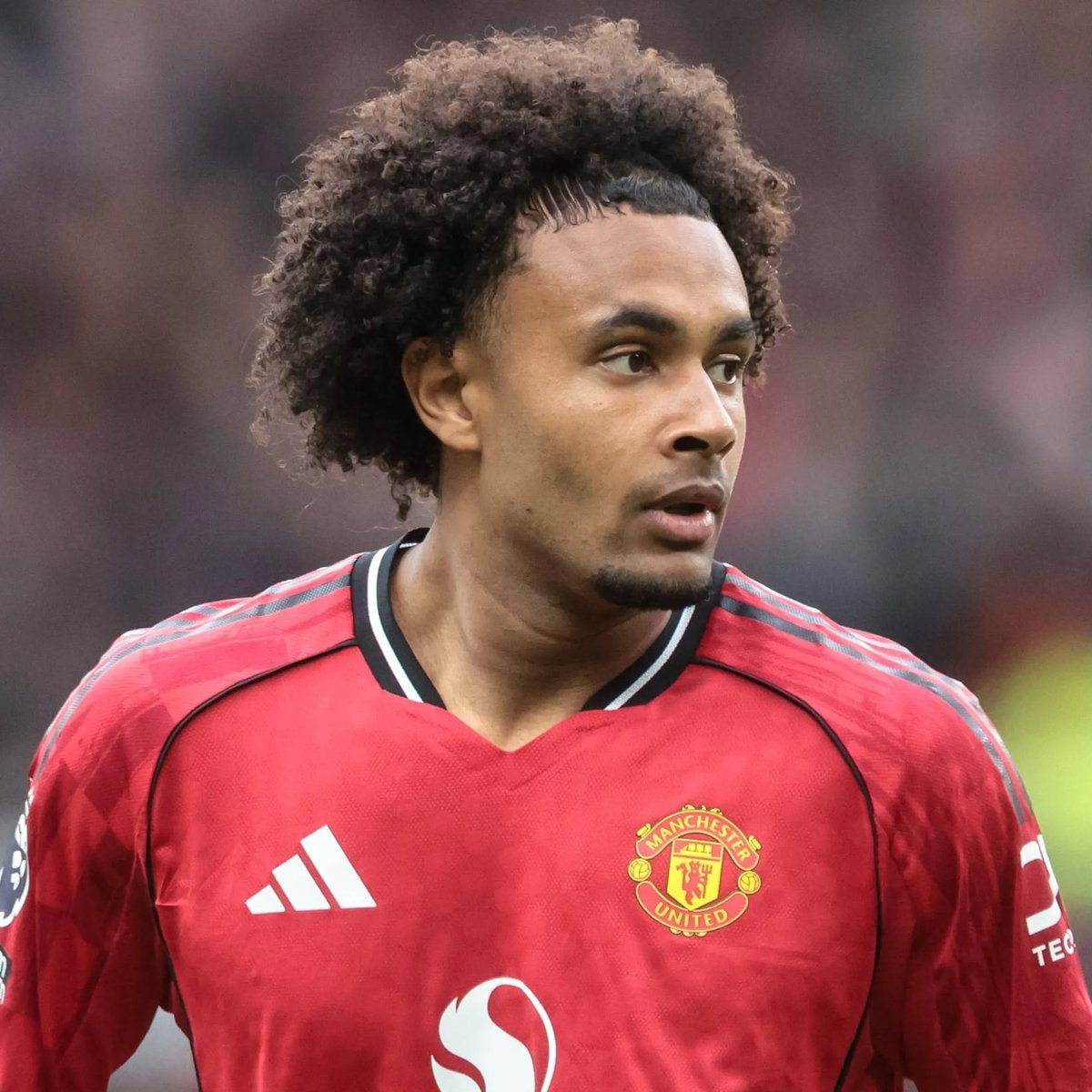 Joshua Zirkzee Manchester United transfer update (photo 1 of 2)