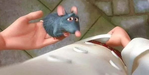 Ratatouille 19th anniversary (photo 2 of 4)