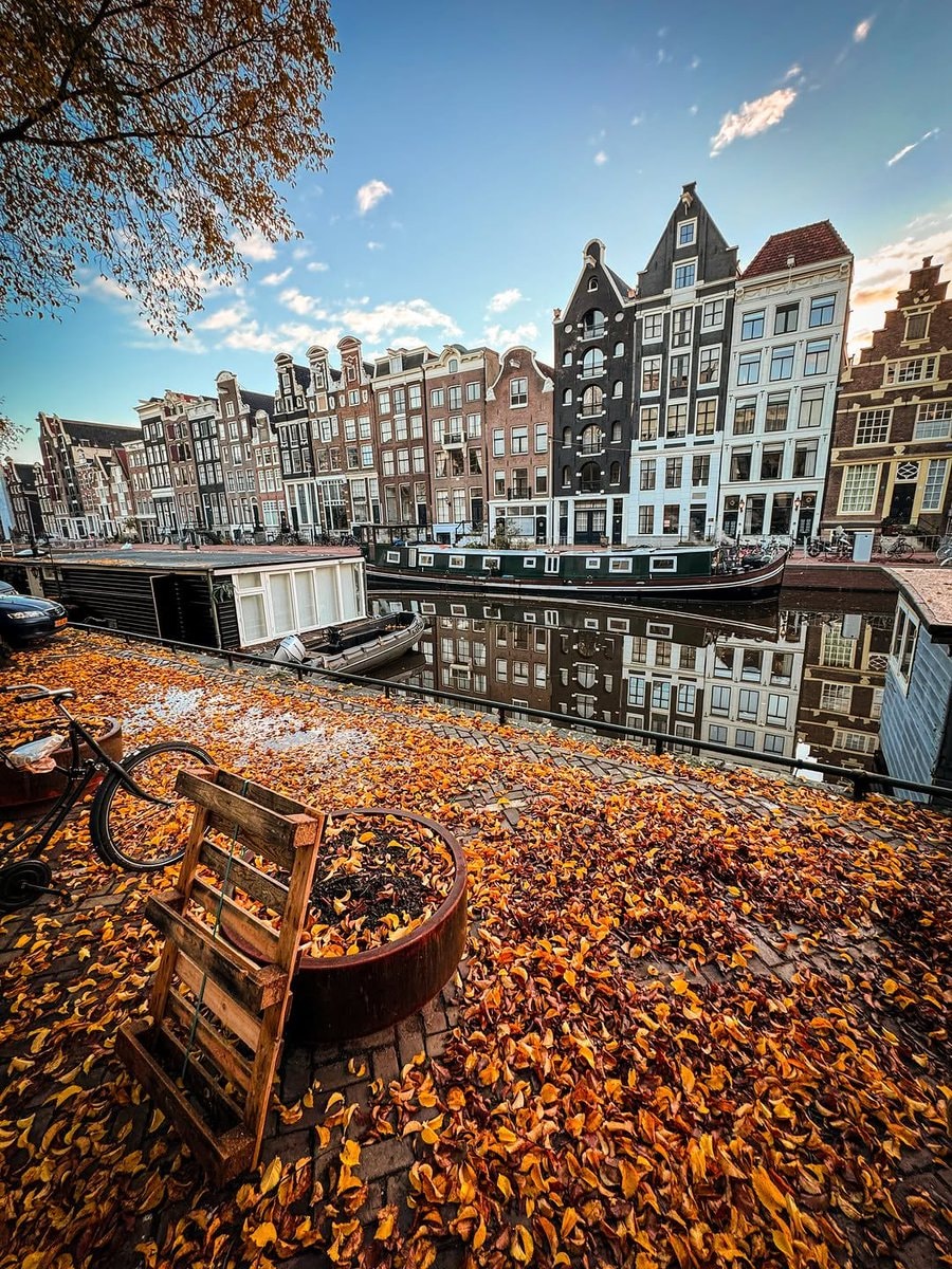 Amsterdam autumn Netherlands (photo 4 of 4)